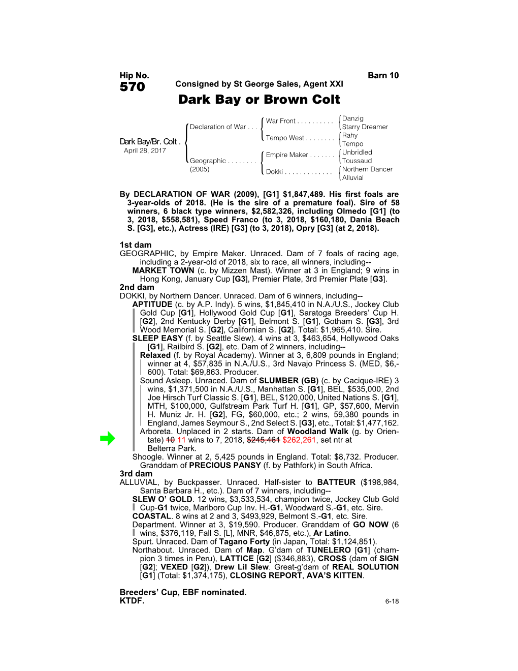 570 Consigned by St George Sales, Agent XXI Dark Bay Or Brown Colt