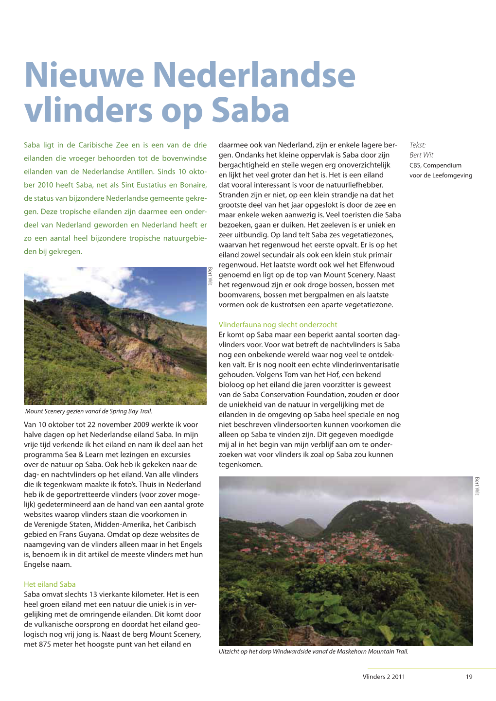 Nieuwe Nederlandse Vlinders Op Saba