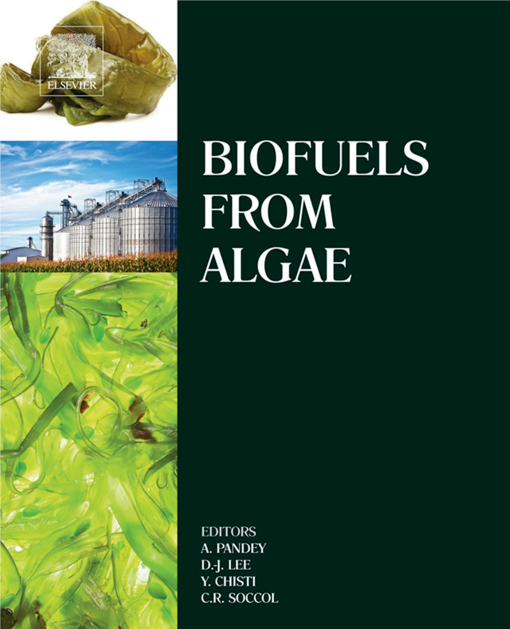 Biofuels from Algae.Pdf