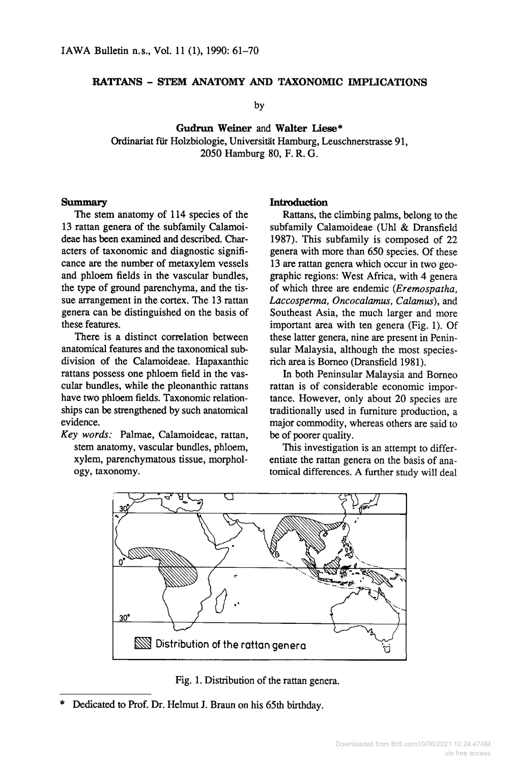 Stem Anatomy and Taxonomic Implications