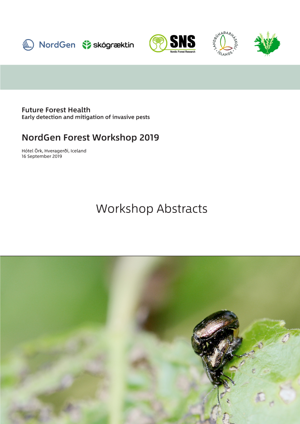 Workshop Abstracts