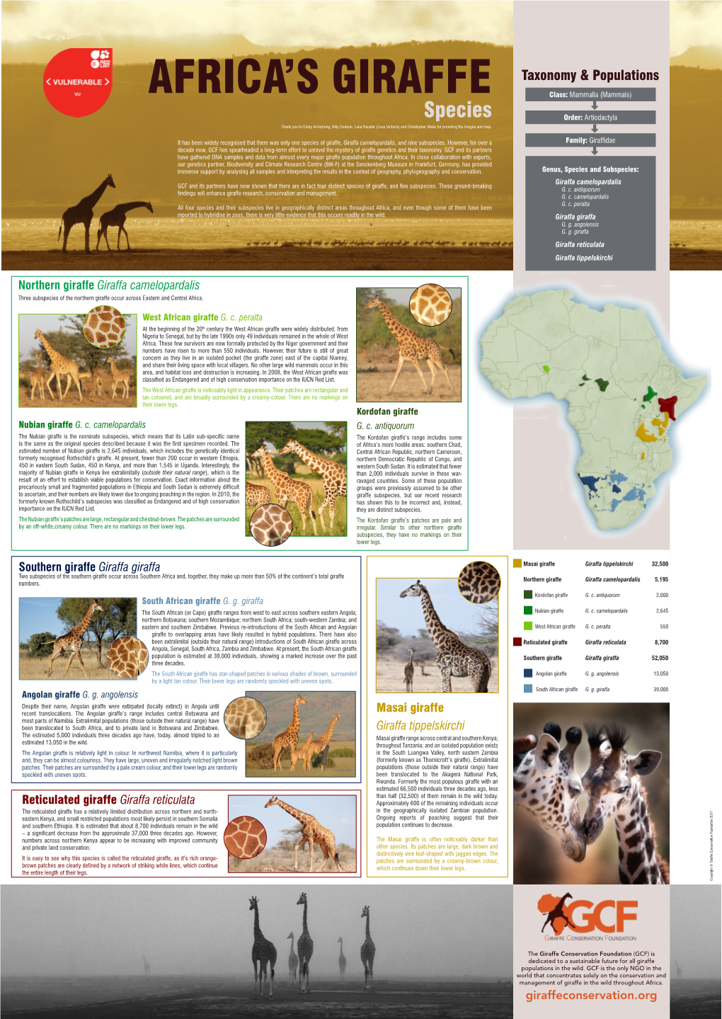 Africa's Giraffe – Species