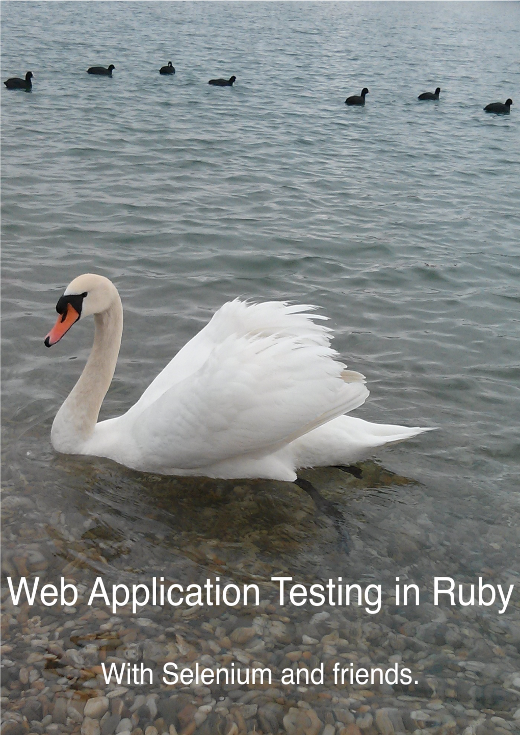 Web Application Testing in Ruby with Selenium and Friends