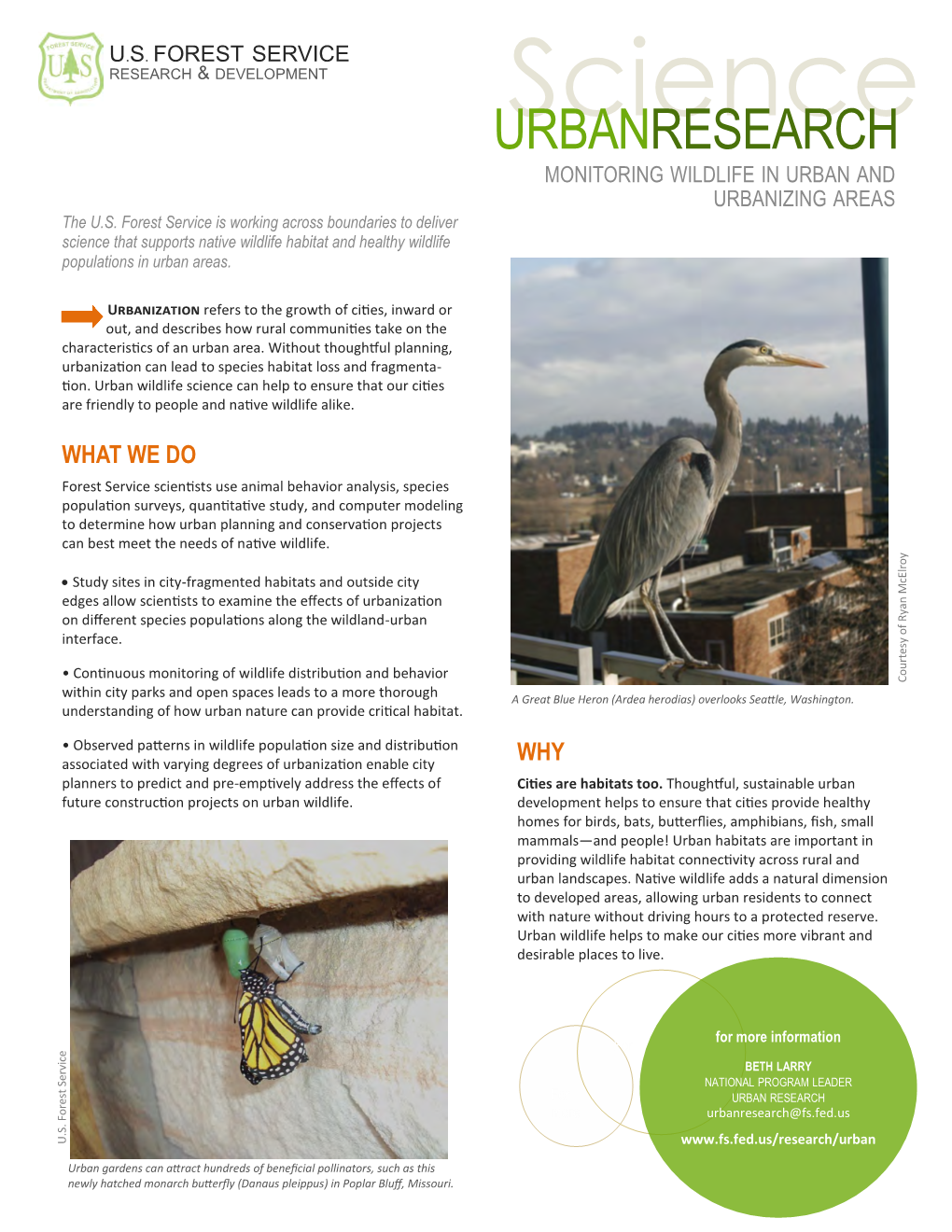 View Our Urban Wildlife Research Brief