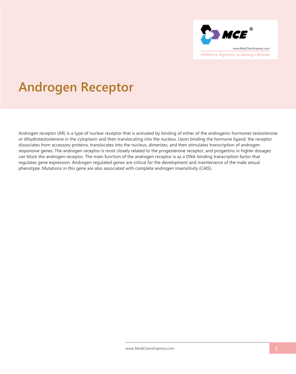 Androgen Receptor