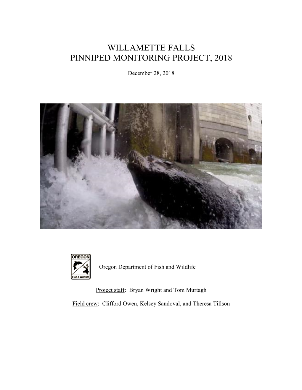 Willamette Falls Pinniped Monitoring Project, 2018