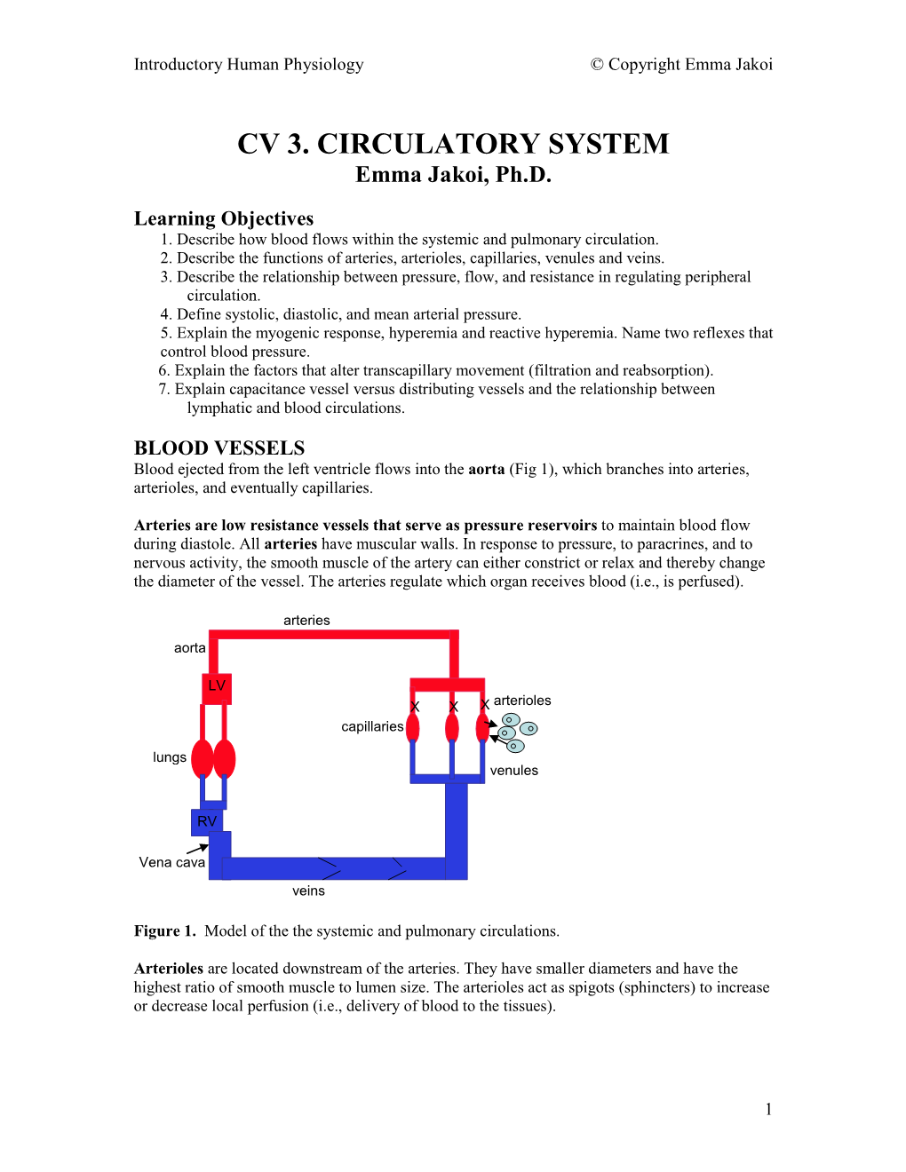 CIRCULATORY SYSTEM Emma Jakoi, Ph.D