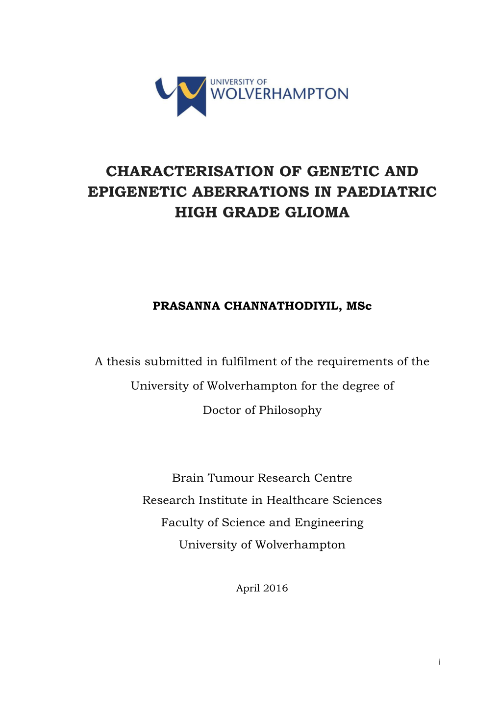 Characterisation of Genetic and Epigenetic Aberrations in Paediatric High Grade Glioma