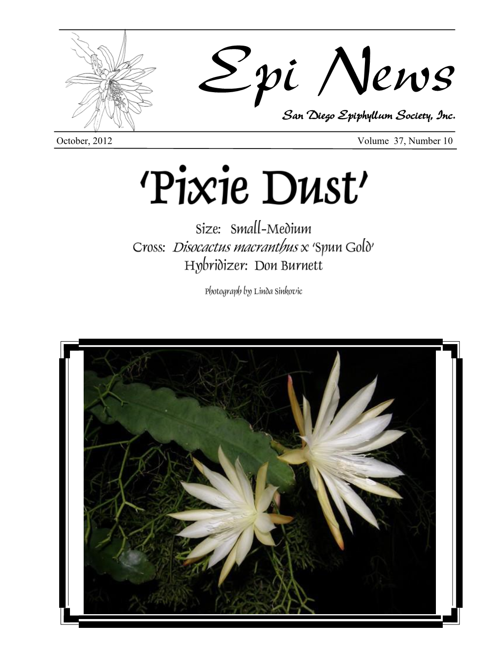 Epi News San Diego Epiphyllum Society, Inc