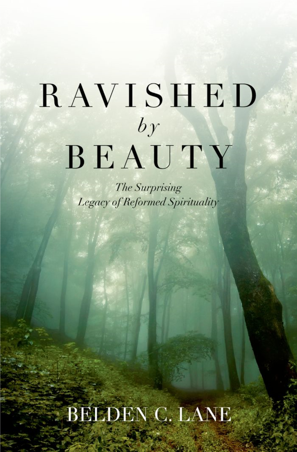 Ravished by Beauty This Page Intentionally Left Blank Ravished by Beauty