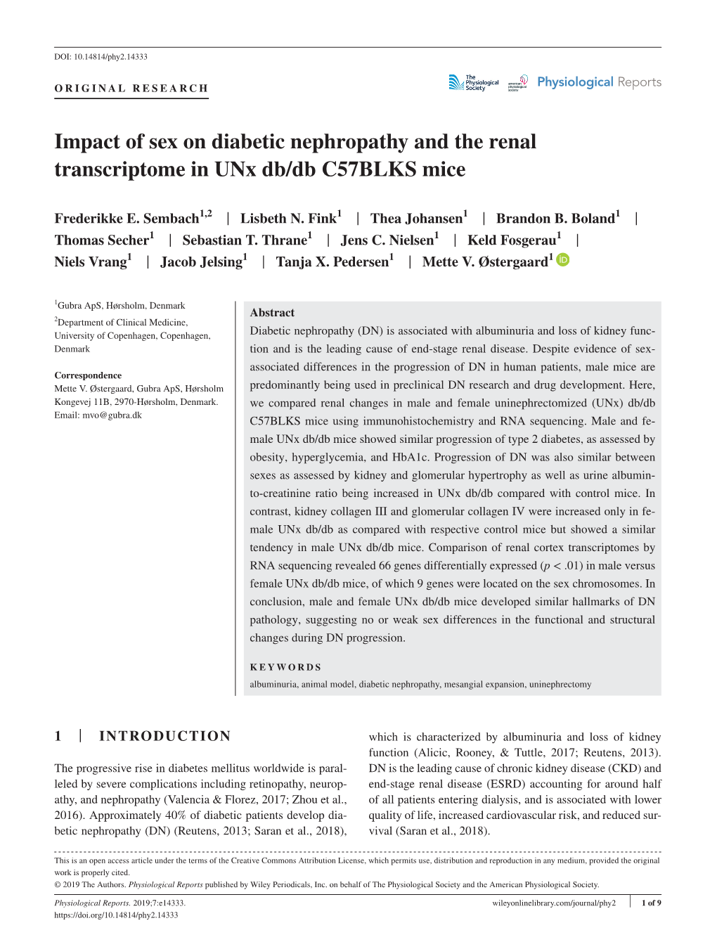 Impact of Sex on Diabetic Nephropathy and the Renal Transcriptome in Unx Db/Db C57BLKS Mice