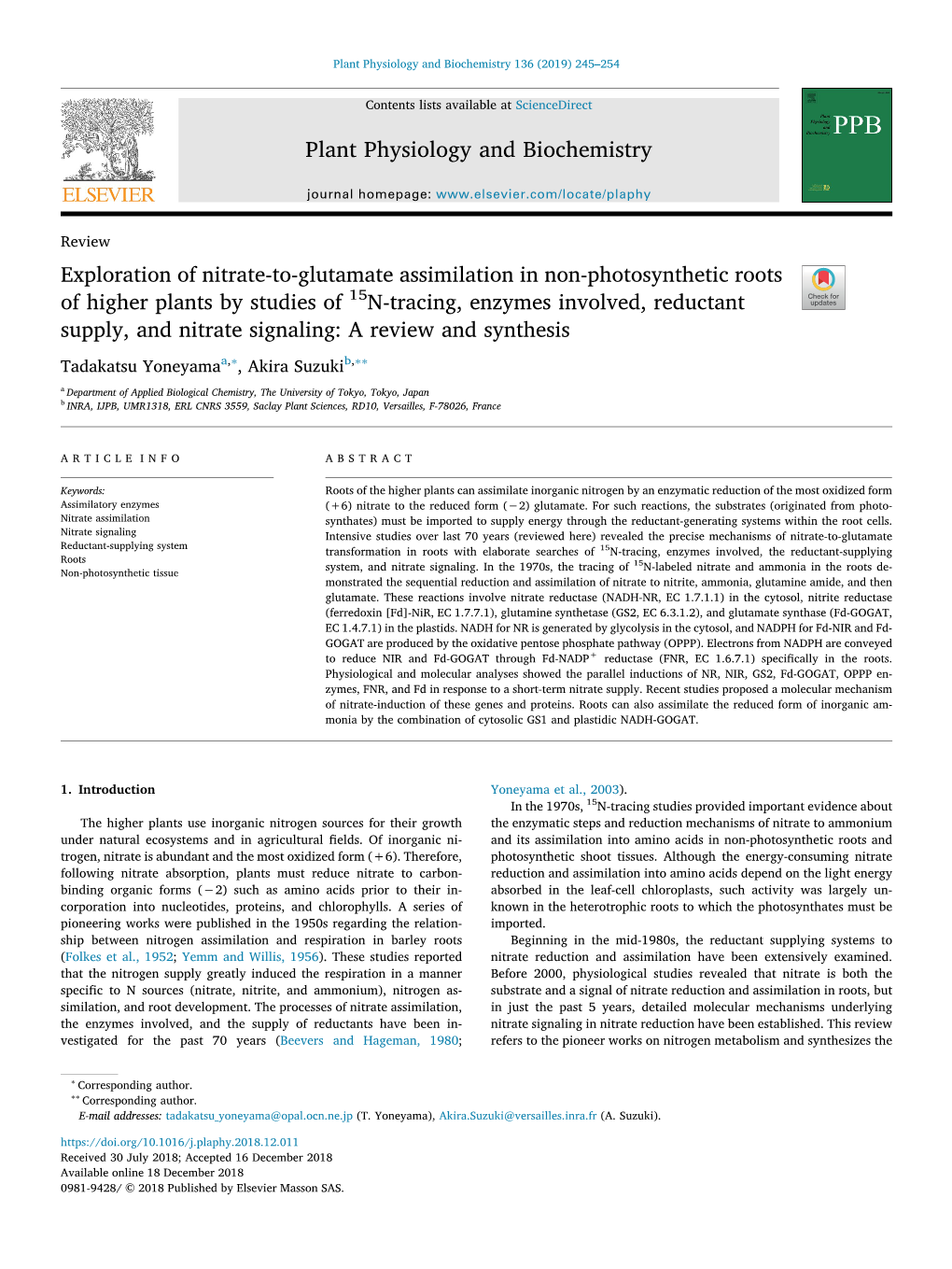 Exploration of Nitrate-To-Glutamate Assimilation in Non-Photosynthetic