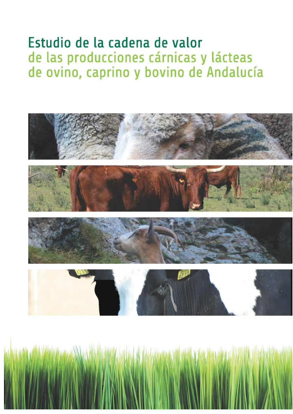 Estudio De La Cadena De Valor De Las Producciones Cárnicas Y Lácteas De Ovino, Caprino Y Bovino De Andalucía