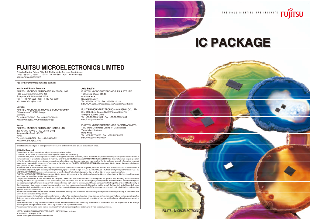Ic Packagepackage
