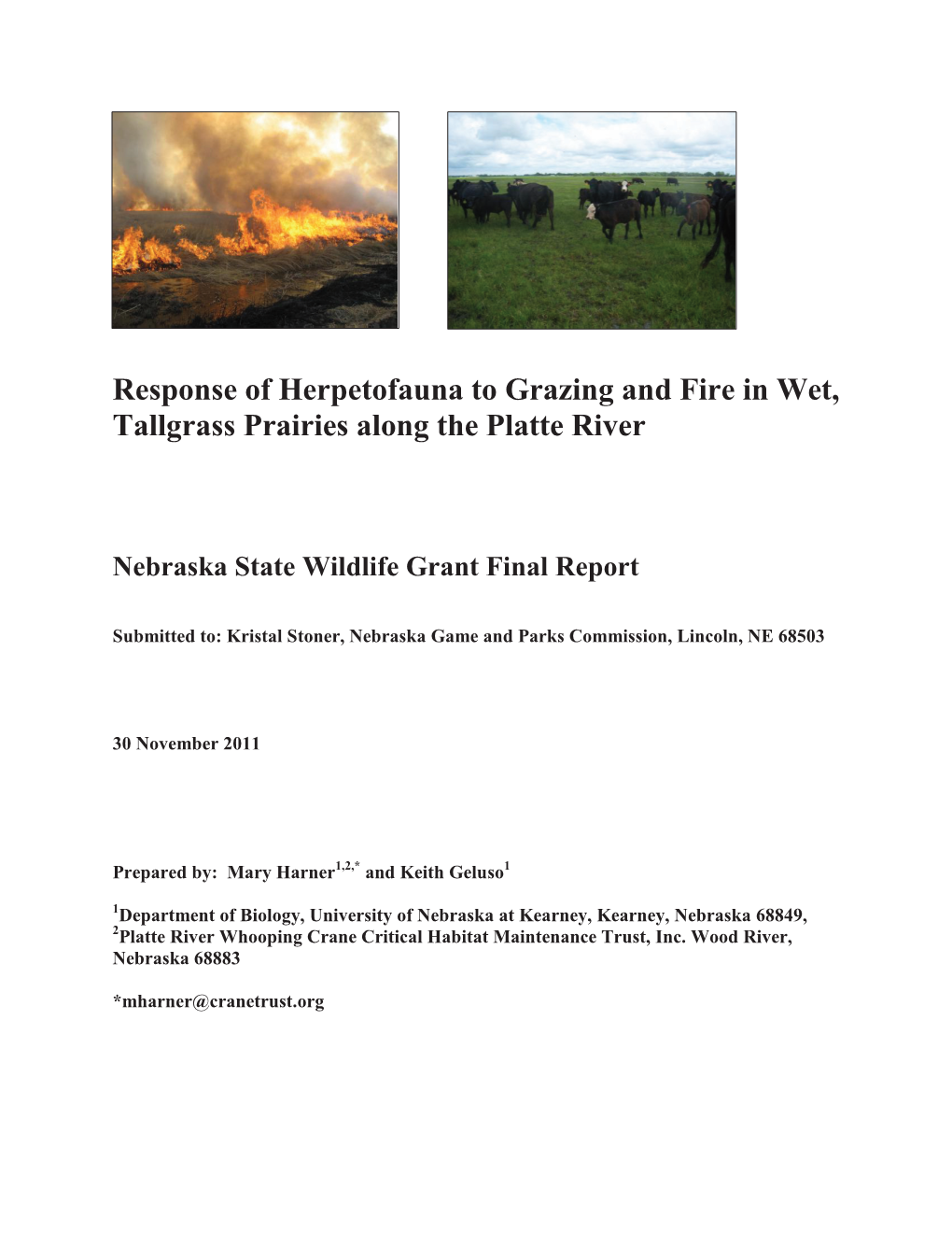 Response of Herpetofauna to Grazing and Fire in Wet, Tallgrass Prairies Along the Platte River