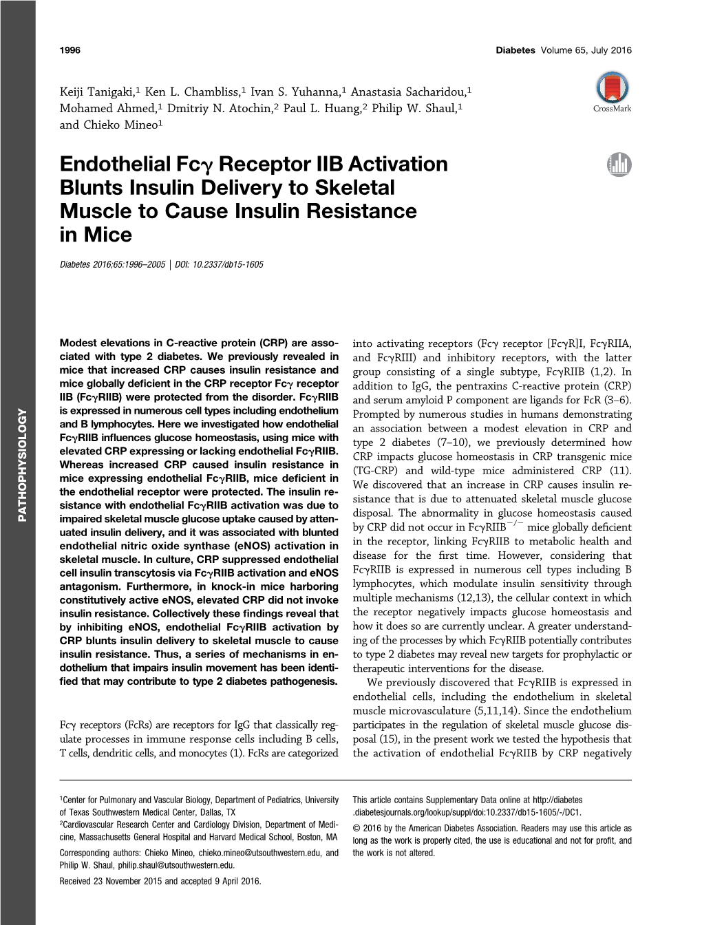 Endothelial Fcγ Receptor IIB Activation Blunts Insulin Delivery To