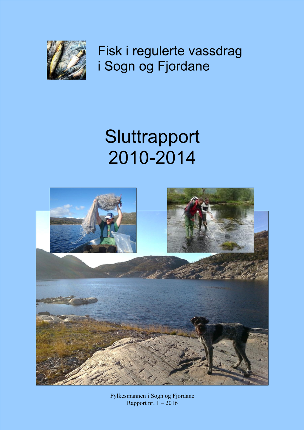 1-2016 Fisk I Regulerte Vassdrag I Sogn Og Fjordane. Sluttrapport 2010