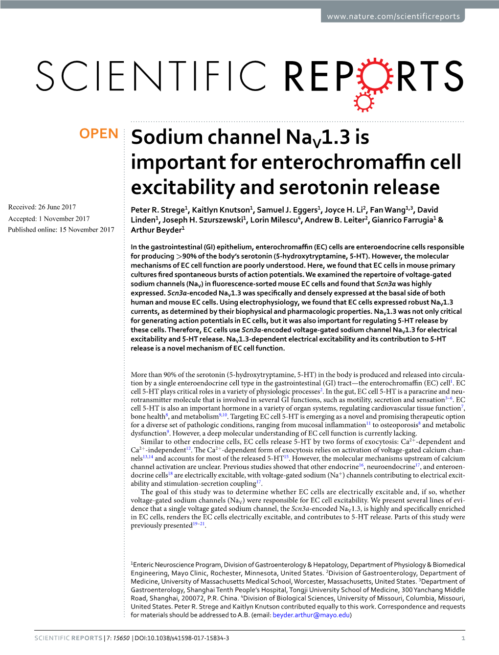 Sodium Channel Nav1.3 Is Important for Enterochromaffin Cell Excitability