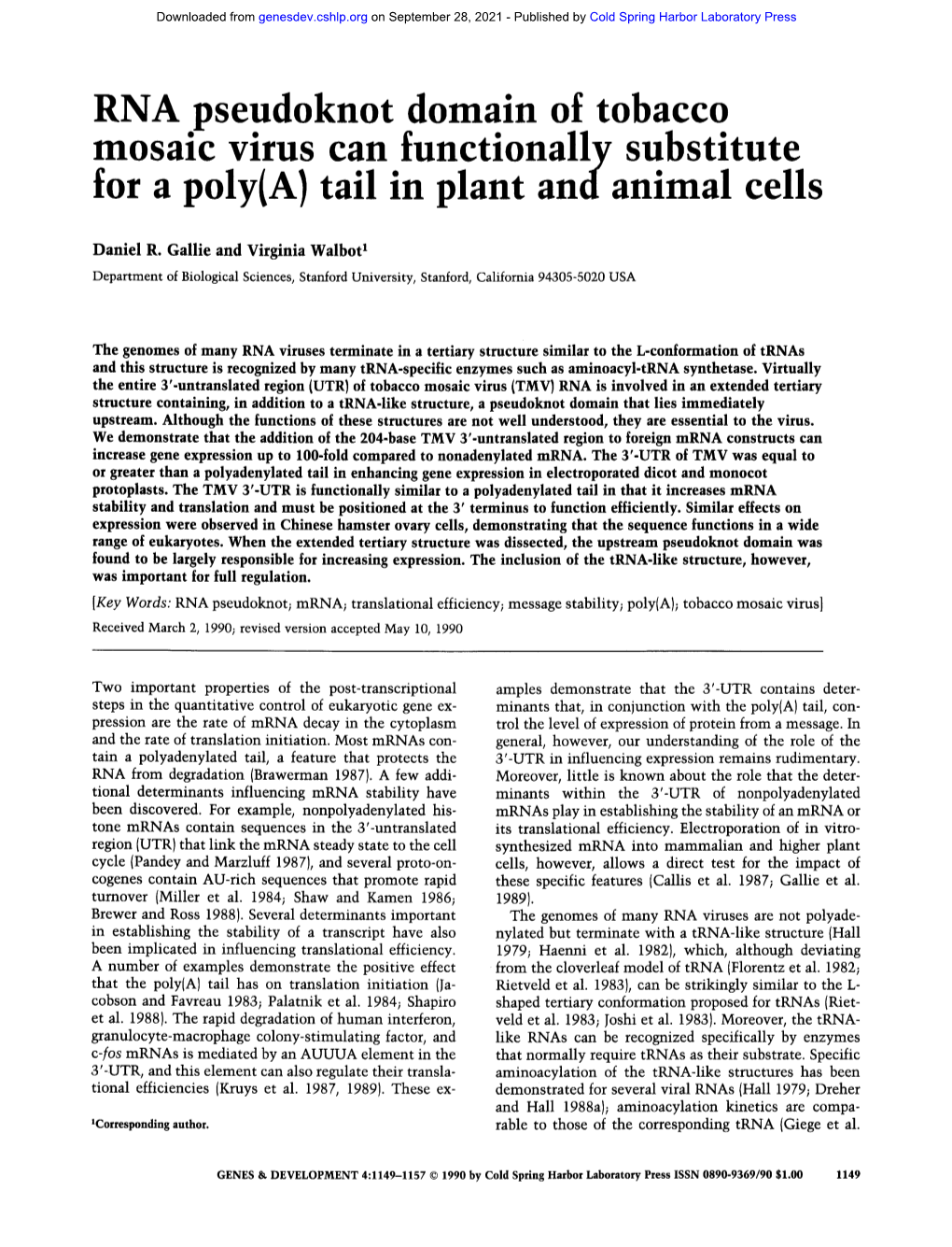 RNA Pseudoknot Domain of Tobacco Mosaic Virus Can Functionally Substitute for a Poly(A) Tail in Plant Andammal Cells
