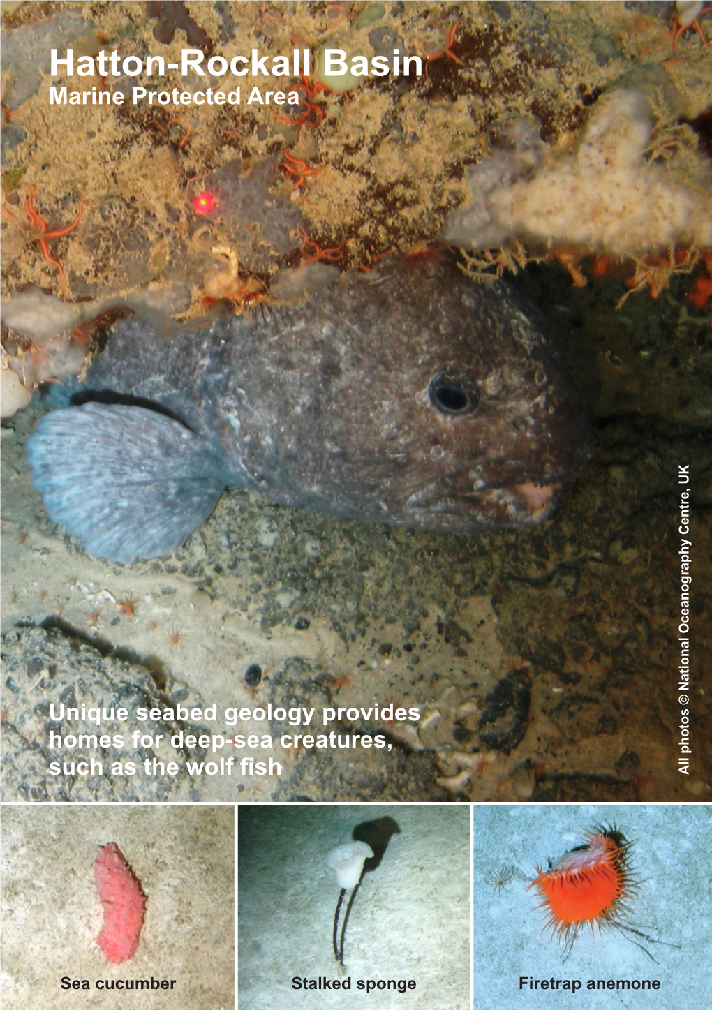 Hatton-Rockall Basin Marine Protected Area