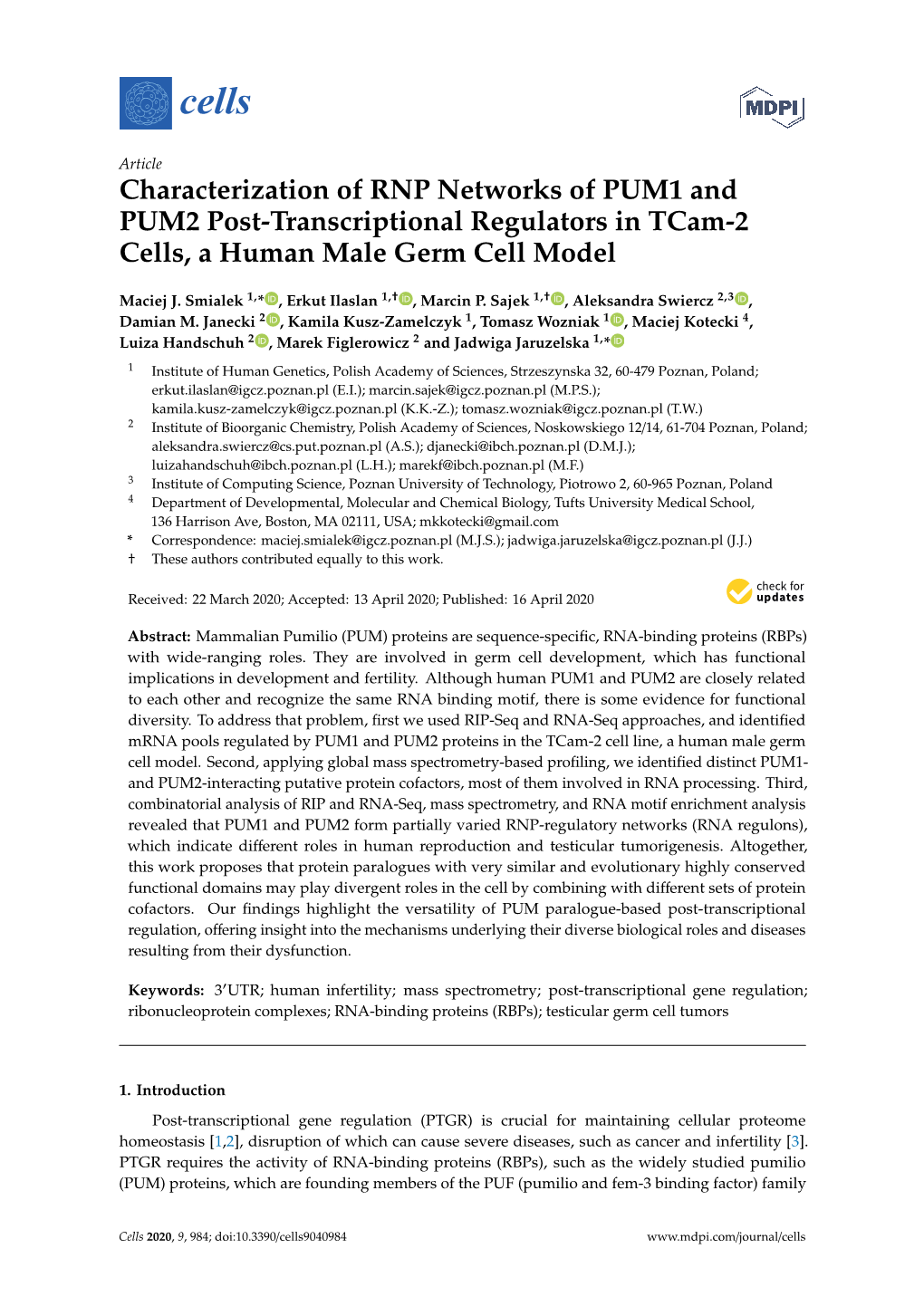 Characterization of RNP Networks of PUM1 and PUM2 Post-Transcriptional Regulators in Tcam-2 Cells, a Human Male Germ Cell Model