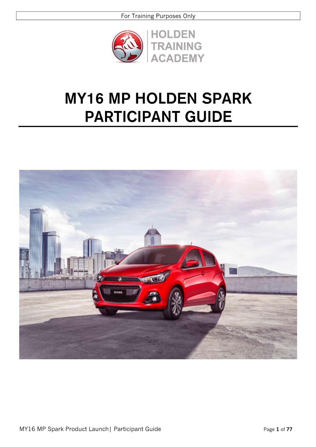 My16 Mp Holden Spark Participant Guide