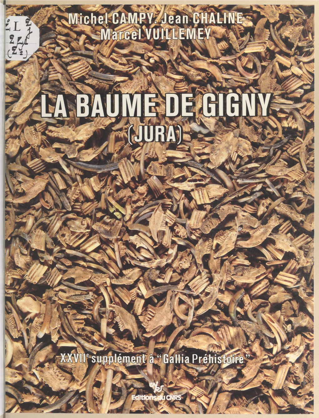 La Baume De Gigny : Jura