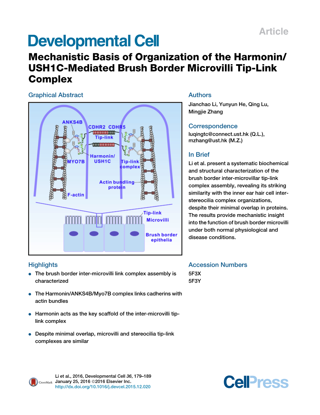 Mechanistic Basis of Organization of the Harmonin/ USH1C-Mediated Brush Border Microvilli Tip-Link Complex