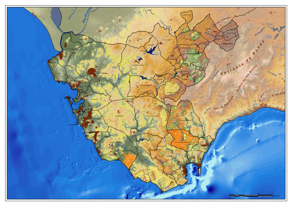 Catálogo De Montes Públicos De Cádiz