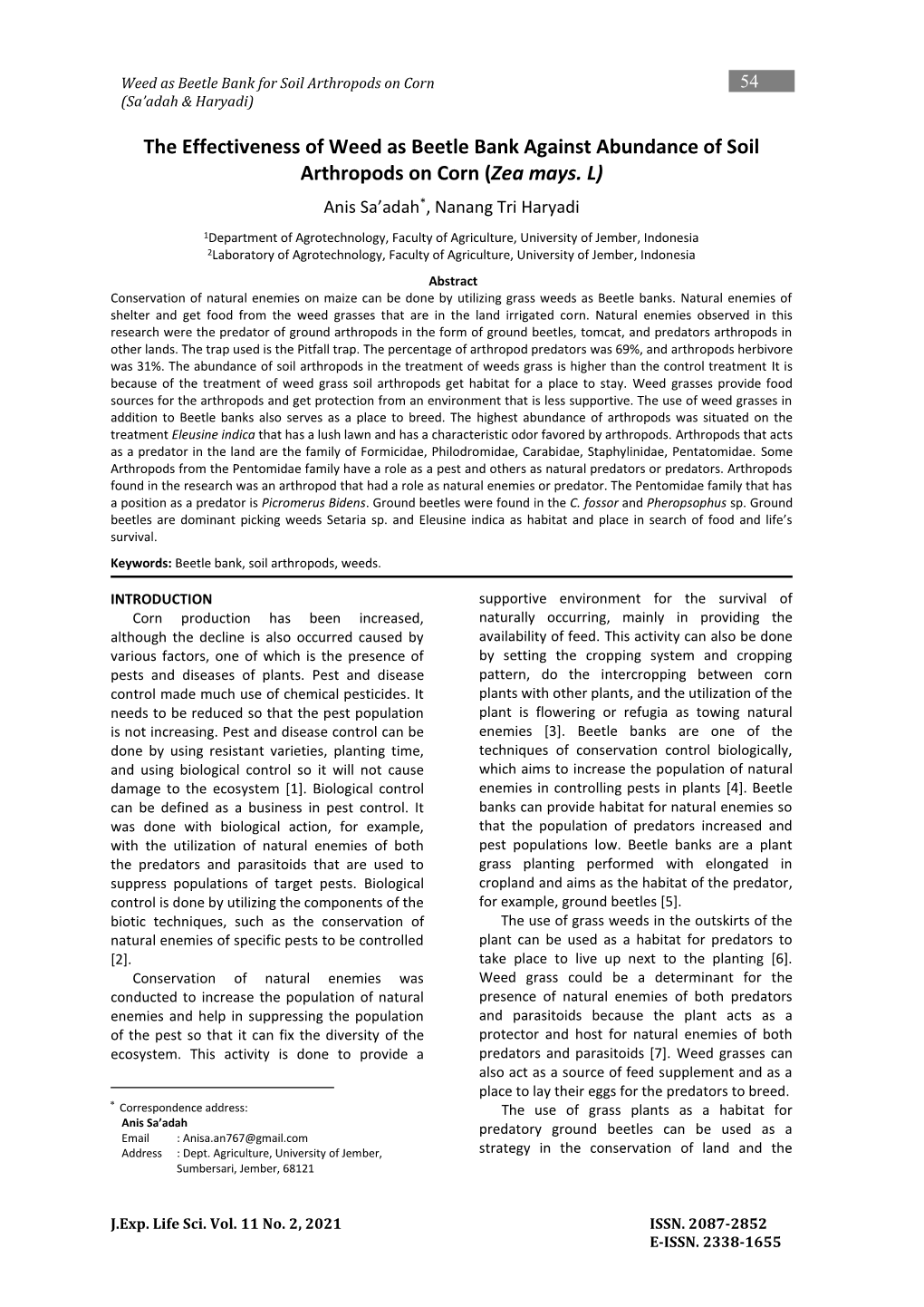 The Effectiveness of Weed As Beetle Bank Against Abundance of Soil Arthropods on Corn (Zea Mays