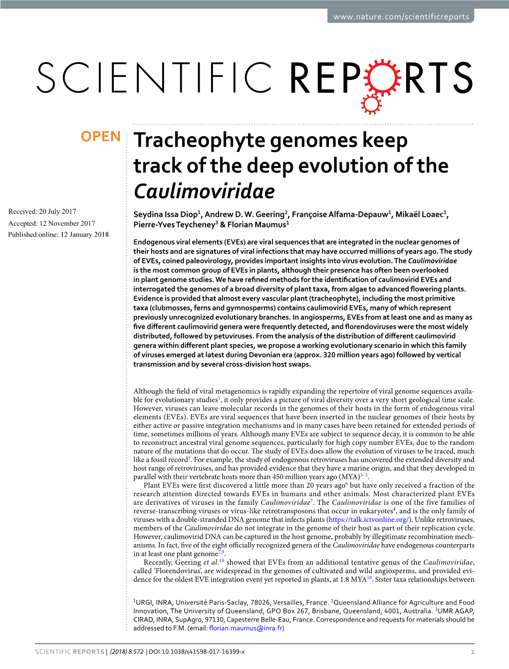 Tracheophyte Genomes Keep Track of the Deep Evolution of the Caulimoviridae Received: 20 July 2017 Seydina Issa Diop1, Andrew D