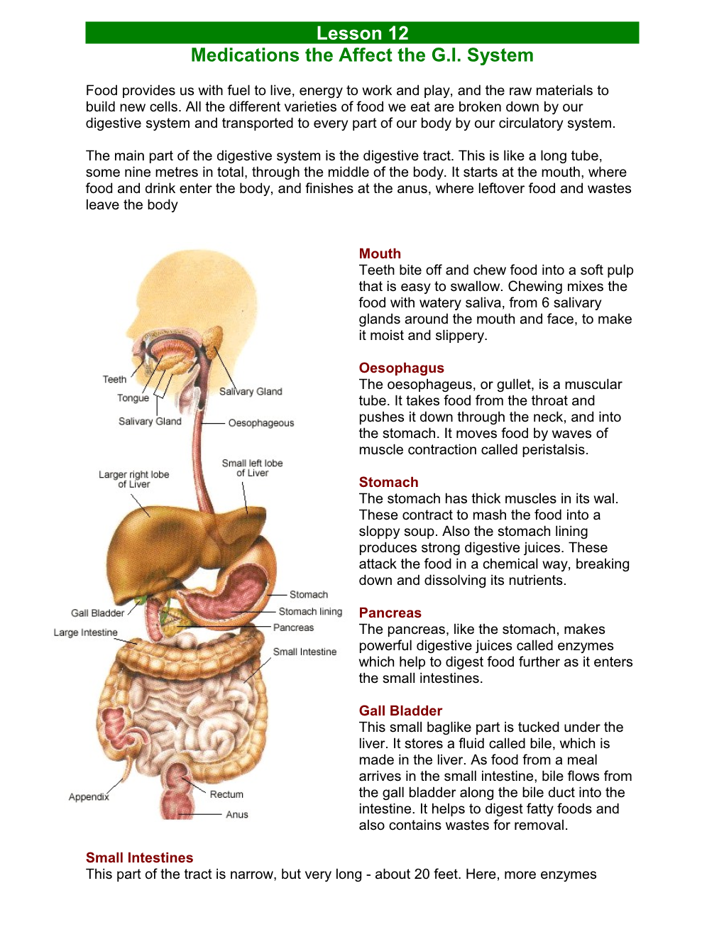 Medications the Affect the G.I. System