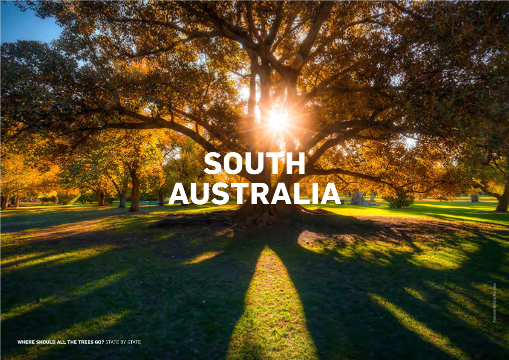 SOUTH AUSTRALIA Adelaide Botanic Gardens