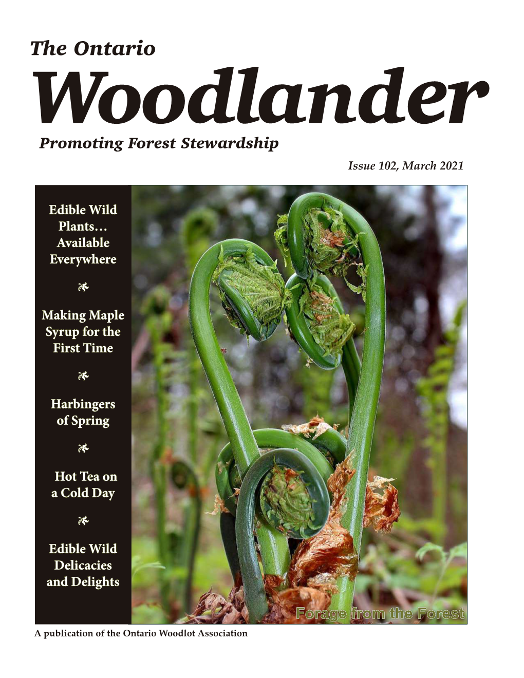 The Ontario Woodlander Promoting Forest Stewardship Issue 102, March 2021