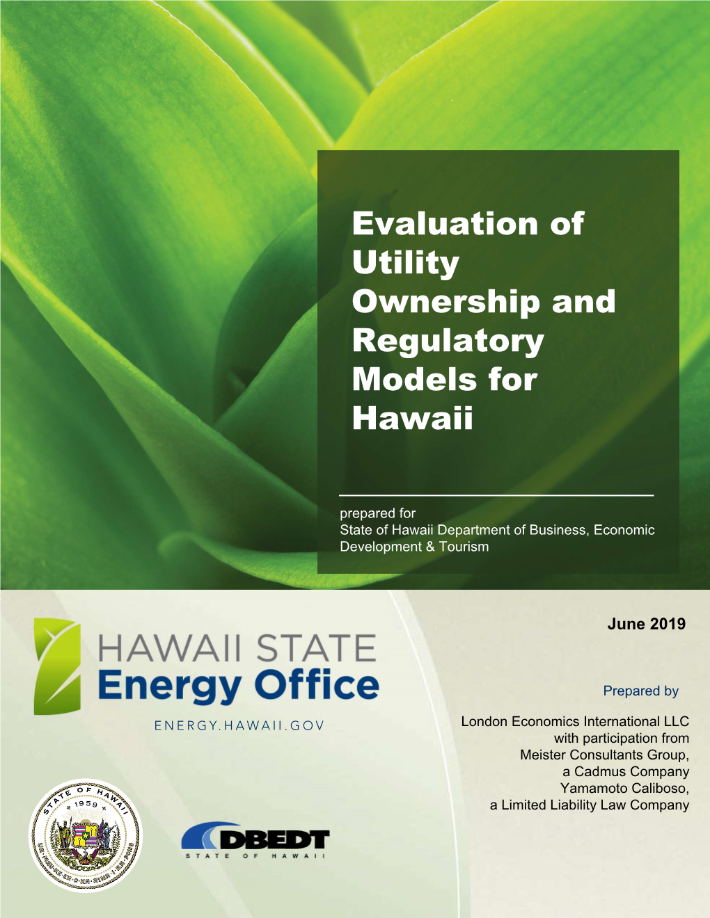 Evaluation of Utility Ownership and Regulatory Models for Hawaii
