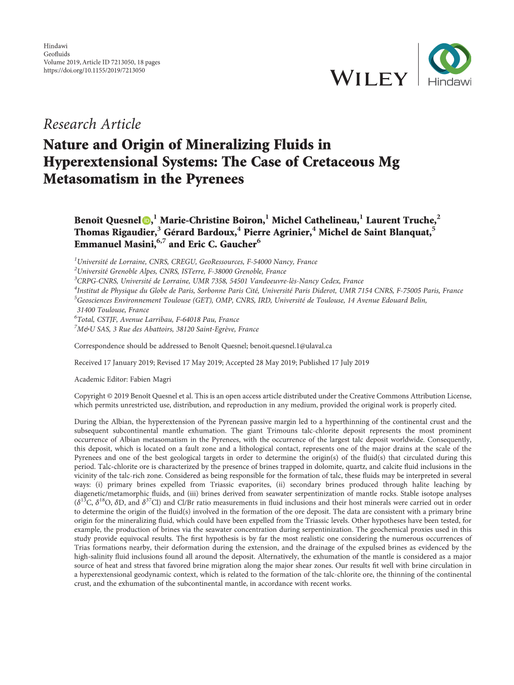 The Case of Cretaceous Mg Metasomatism in the Pyrenees