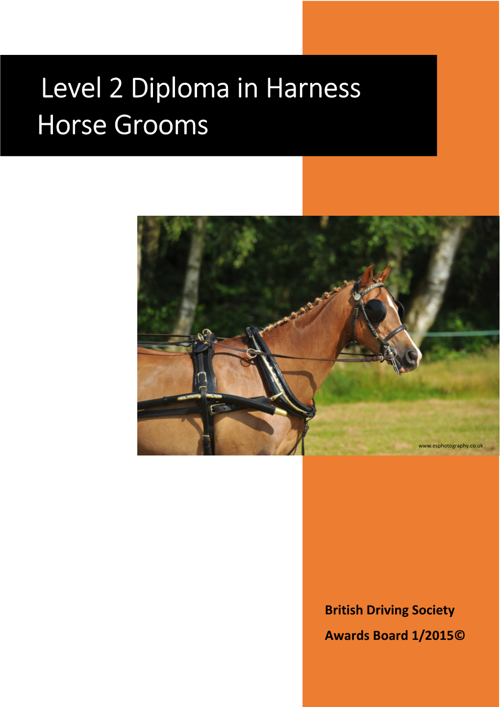 Level 2 Diploma in Harness Horse Grooms