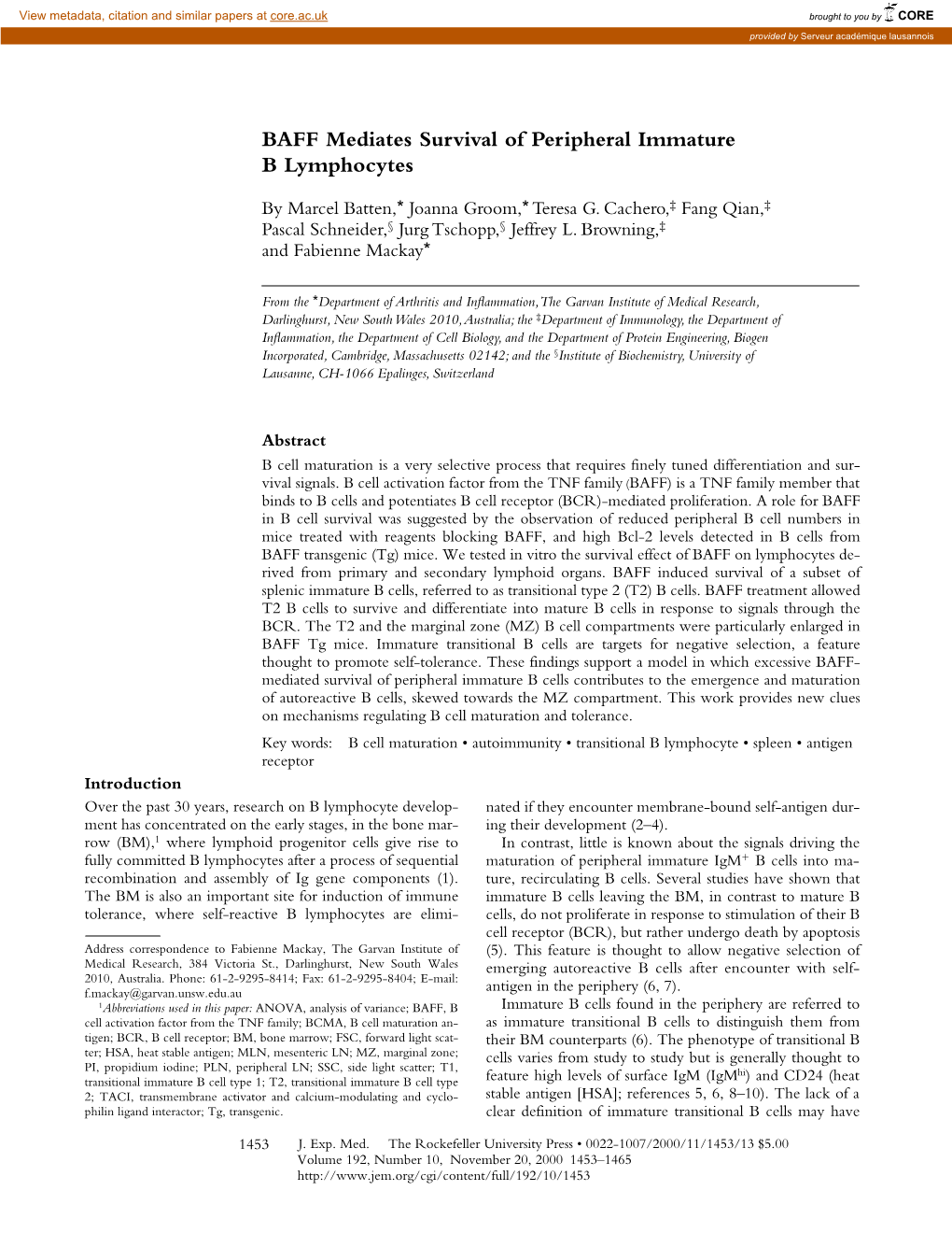 BAFF Mediates Survival of Peripheral Immature B Lymphocytes