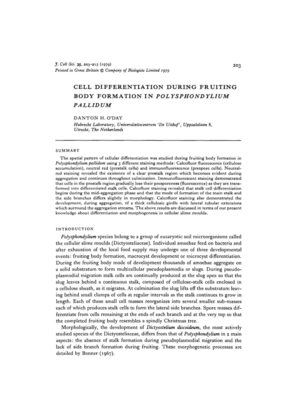 Cell Differentiation During Fruiting Body Formation in Polysphondylium Pallid Um