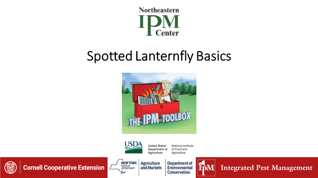 Spotted Lanternfly Basics for Grape and Apple Industries