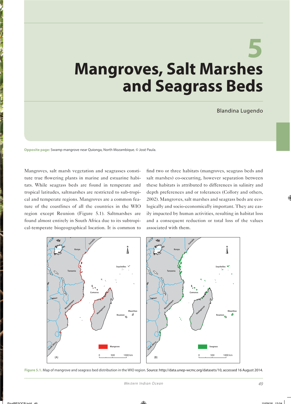 Mangroves, Salt Marshes and Seagrass Beds