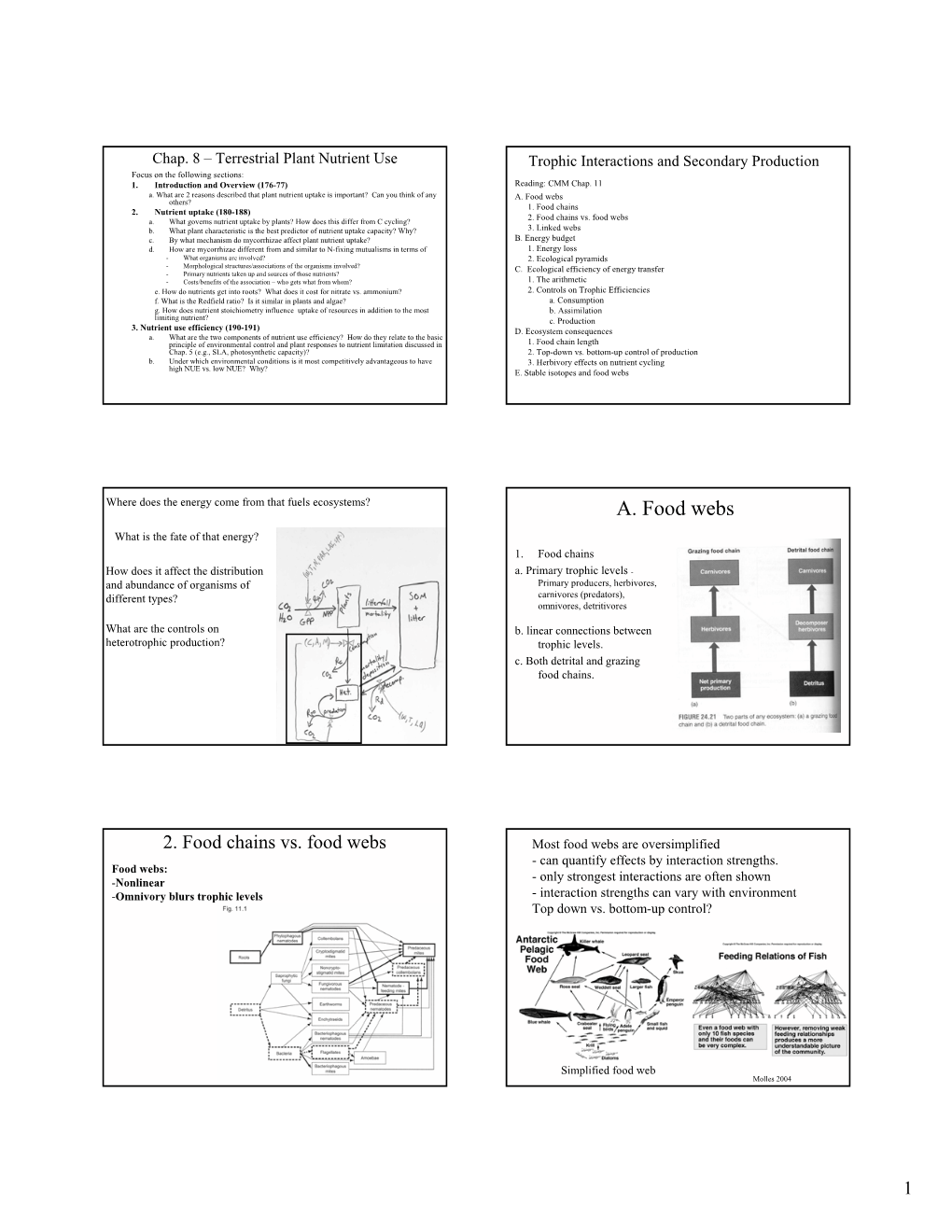 A. Food Webs Others? 1