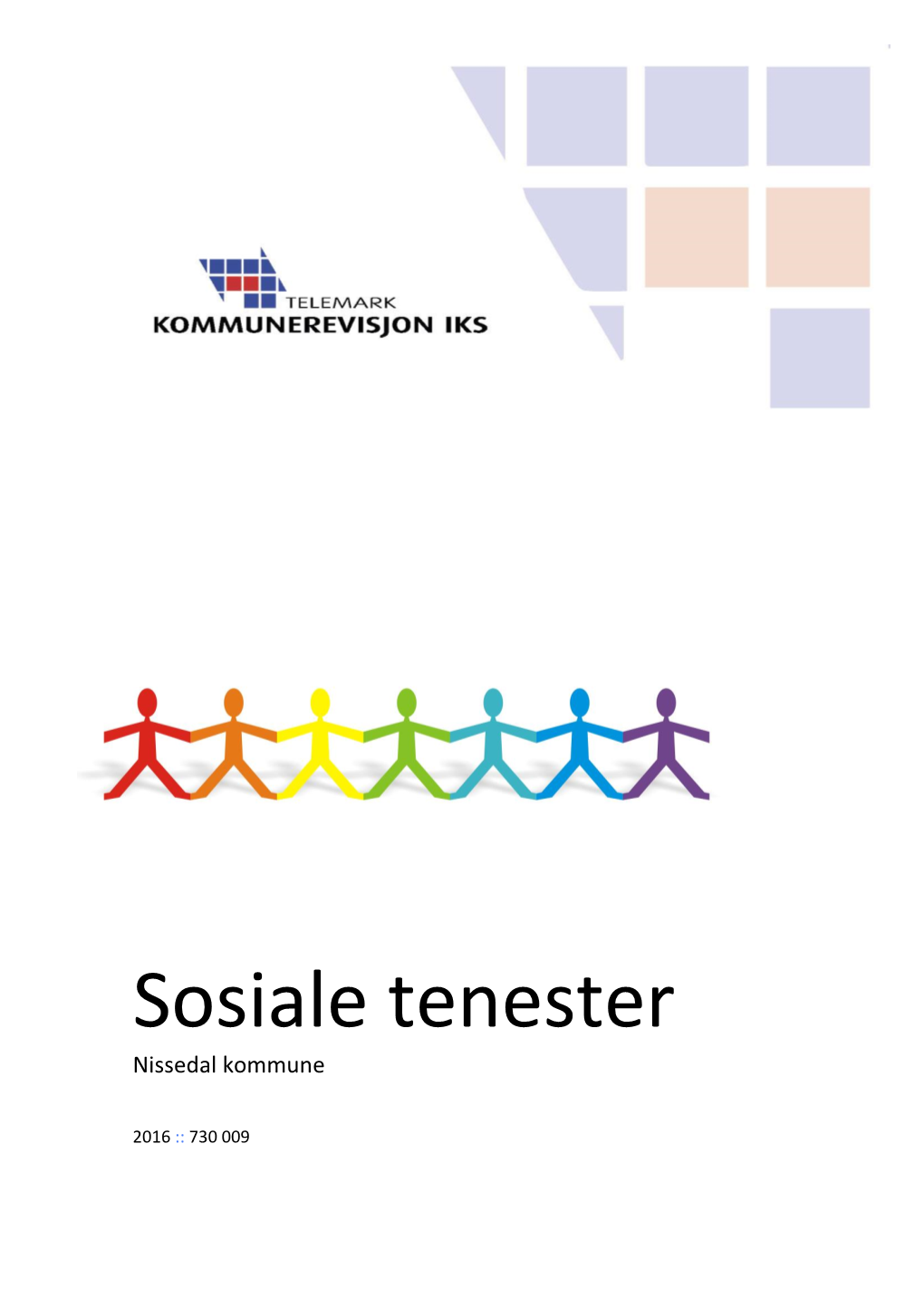 Sosiale Tenester Nissedal Kommune