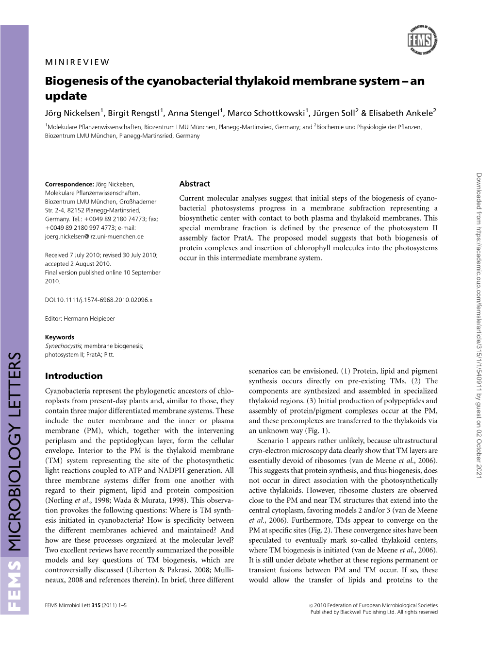 Biogenesis of the Cyanobacterial Thylakoid Membrane System An