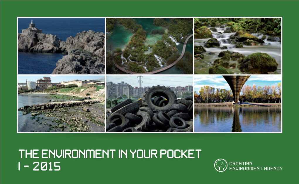 The Environment in Your Pocket I – 2015 the Environment in Your Pocket