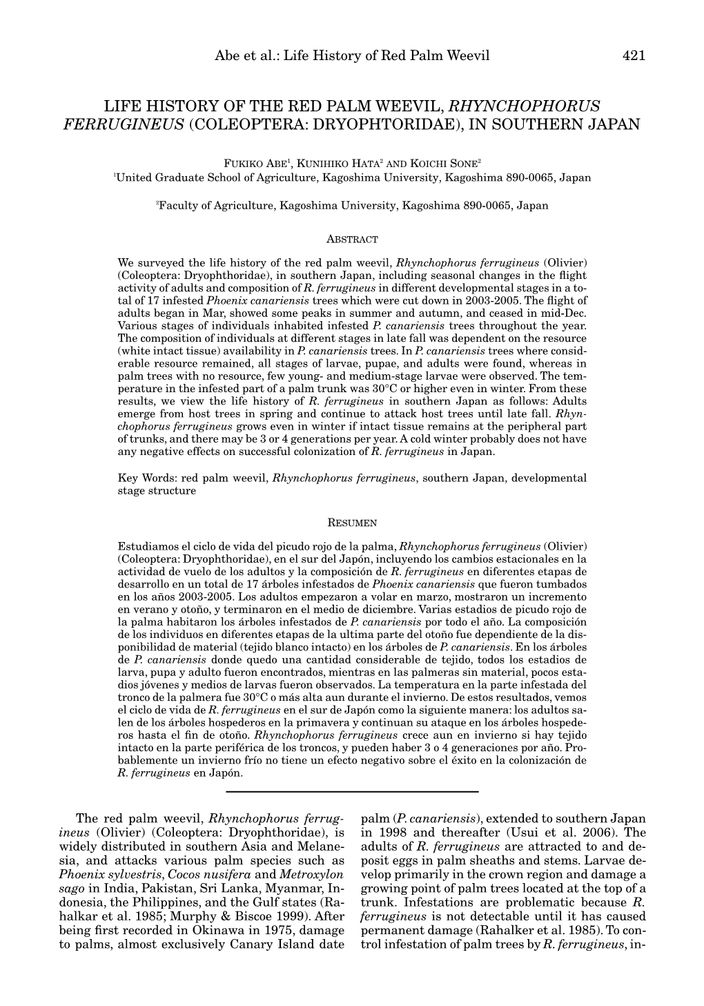 Life History of the Red Palm Weevil, Rhynchophorus Ferrugineus (Coleoptera: Dryophtoridae), in Southern Japan