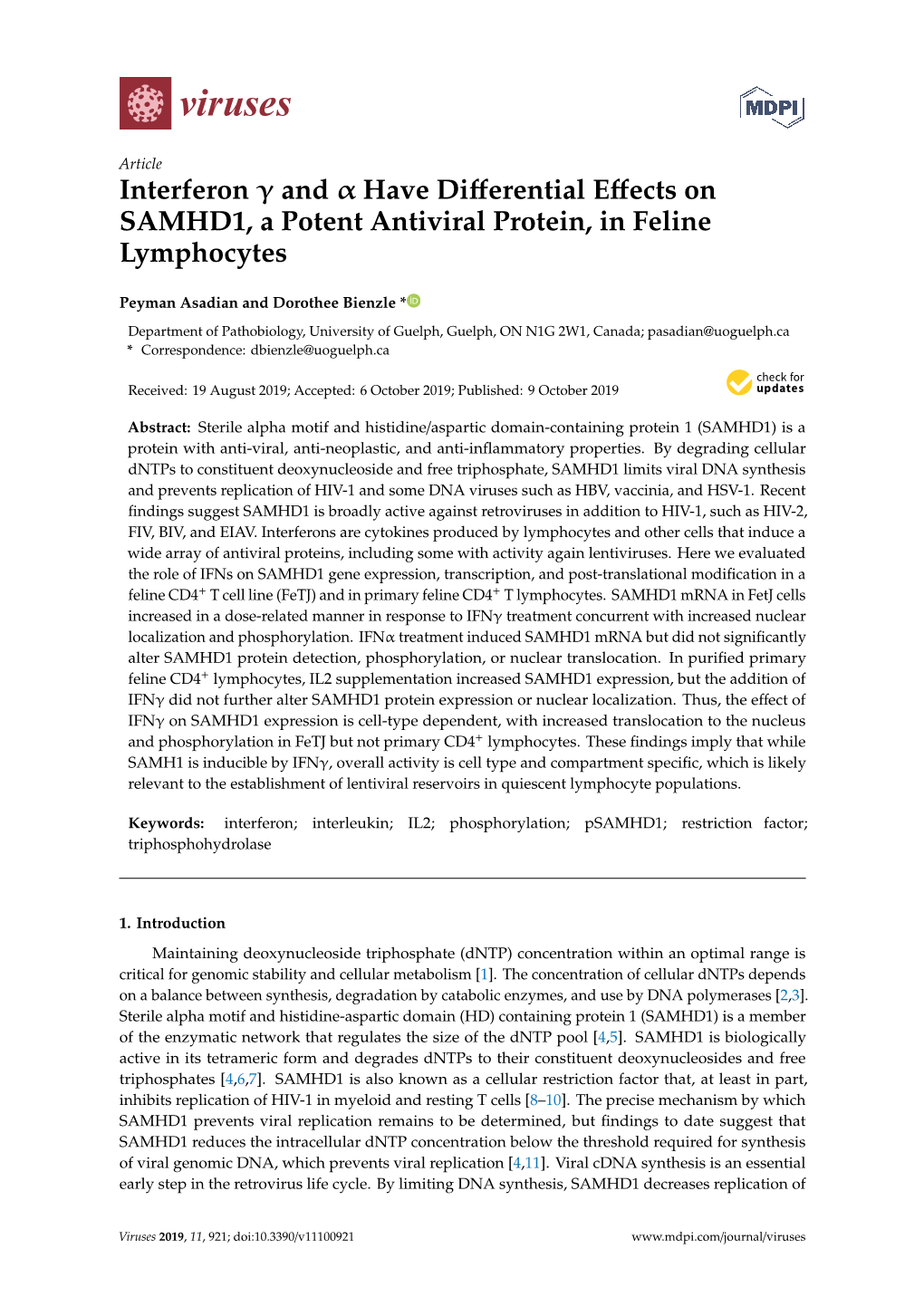 Interferon and Have Differential Effects on SAMHD1, a Potent Antiviral