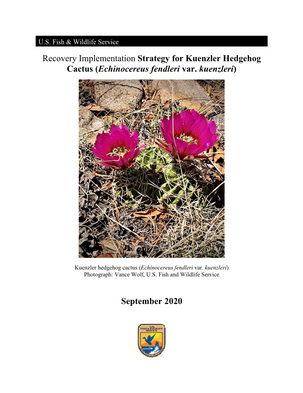 Recovery Implementation Strategy for Kuenzler Hedgehog Cactus (Echinocereus Fendleri Var