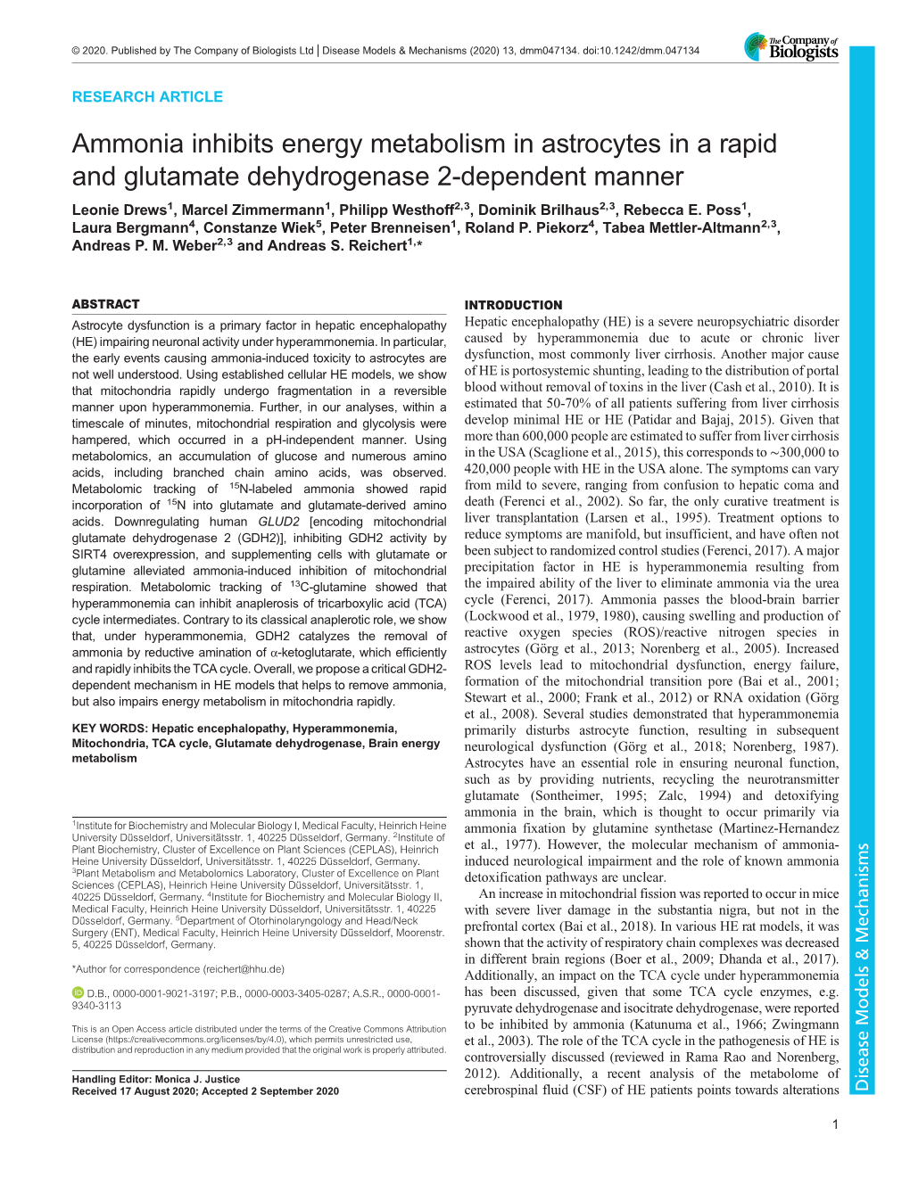 Ammonia Inhibits Energy Metabolism in Astrocytes in a Rapid And