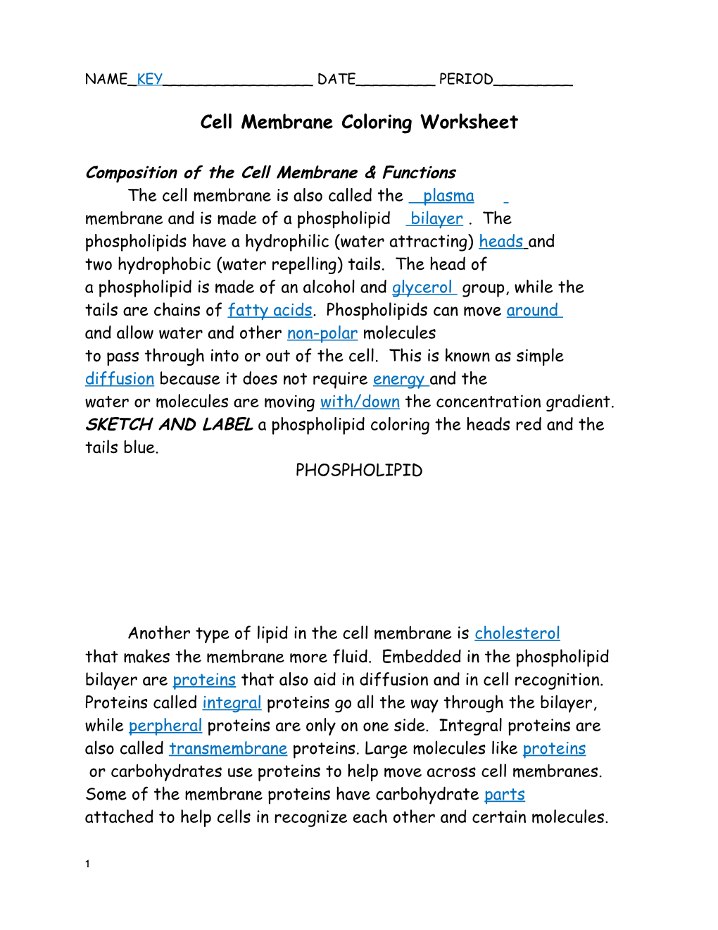 Cell Membrane Coloring Worksheet s2